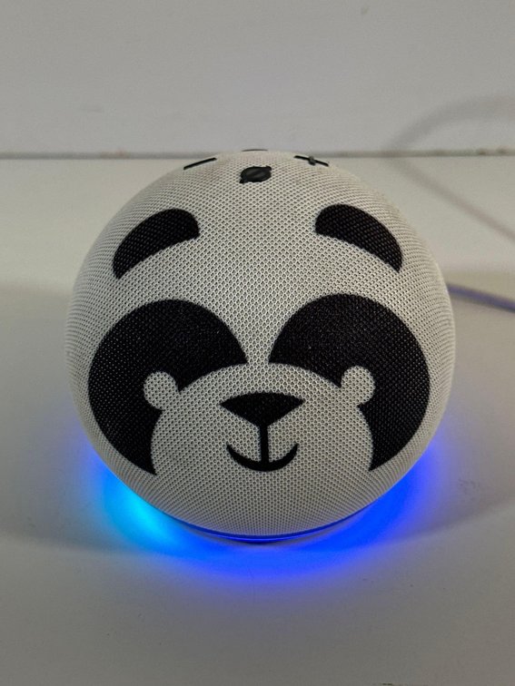 "Panda" Kids Edition Amazon Echo Dot Model B7W64E