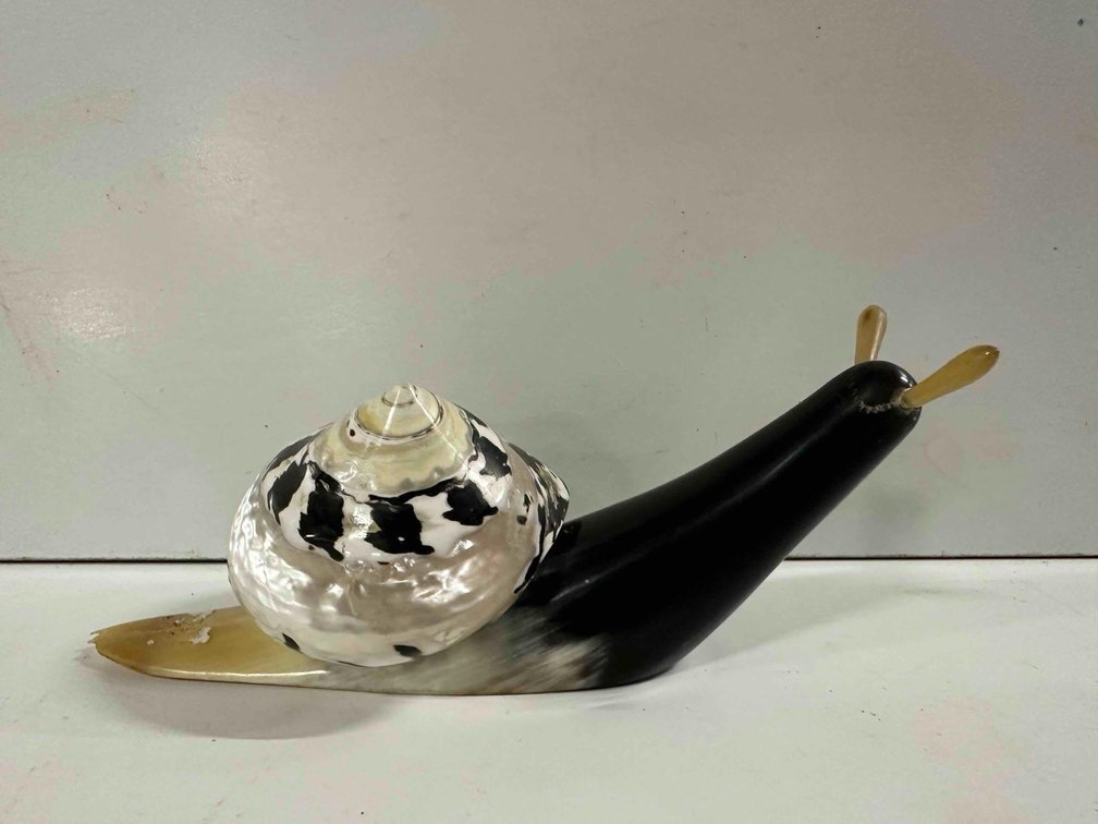 Horn and Mother of Pearl Shell Snail Decor Piece