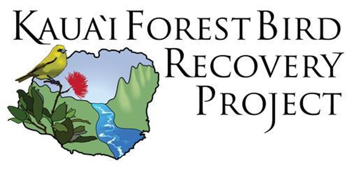 Kauai Forest Bird Recovery Project Forest Bird Holiday Gift Set