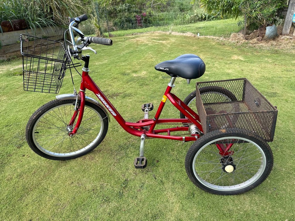 Tristar Adult Side Tricycle with Basket in Front and Back 
