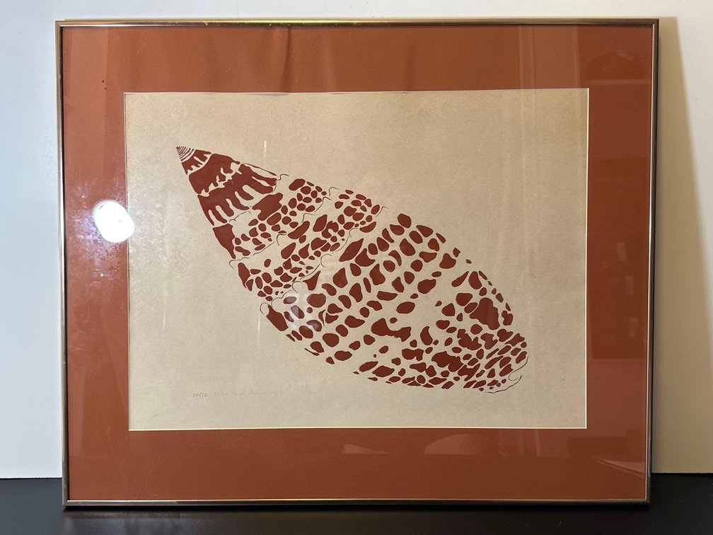 Framed Vintage Numbered 58/72 Seashell Art from 1979