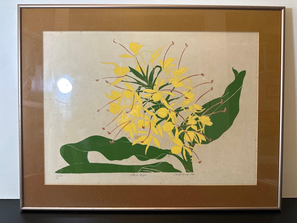 Framed Vintage Numbered 22/70 Tropical Ginger Flower Art from 1980 by Carol Stevenson 