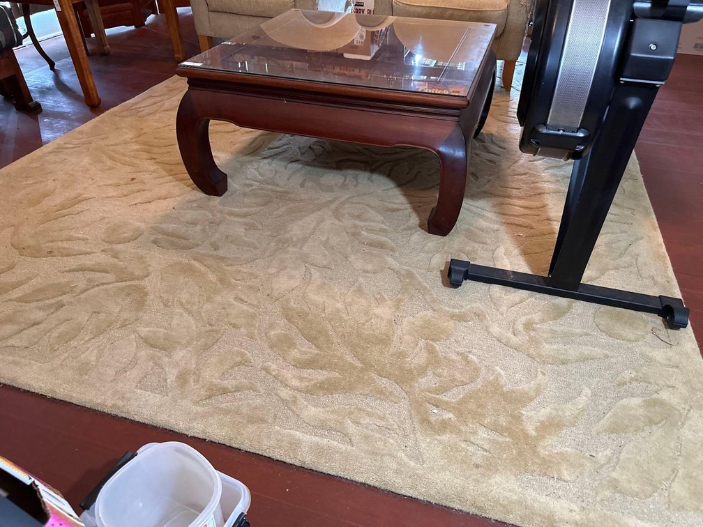 120" X 96" Large Light Colored Area Rug