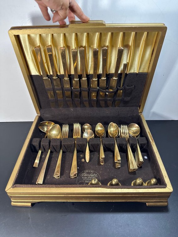 Vintage Genuine Dirilyte Tableware Silverware Set with Case 