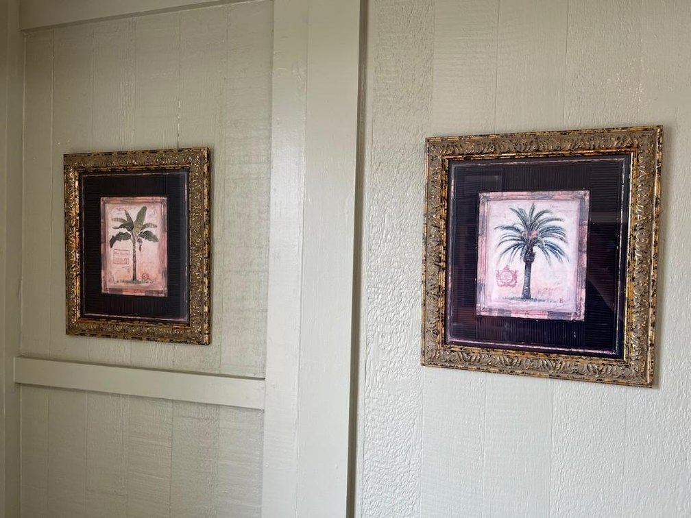 (X's 2) Palm Tree Pictures