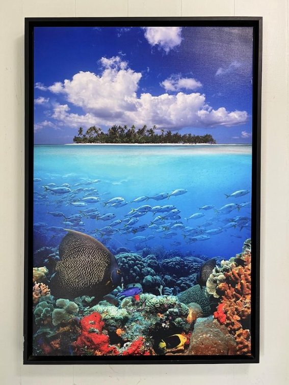 Island and Reef Picture