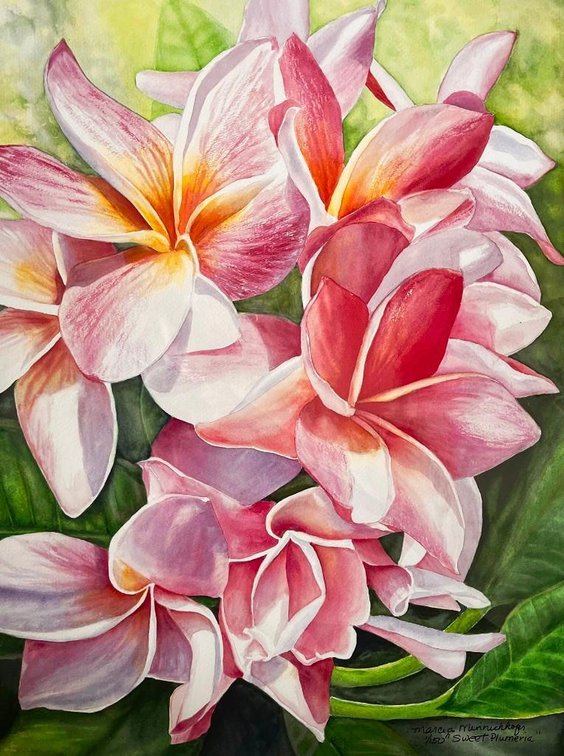 Sweet Plumeria Giclée Print