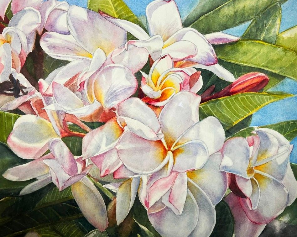 Daisy Wilcox Plumerias Giclée Print