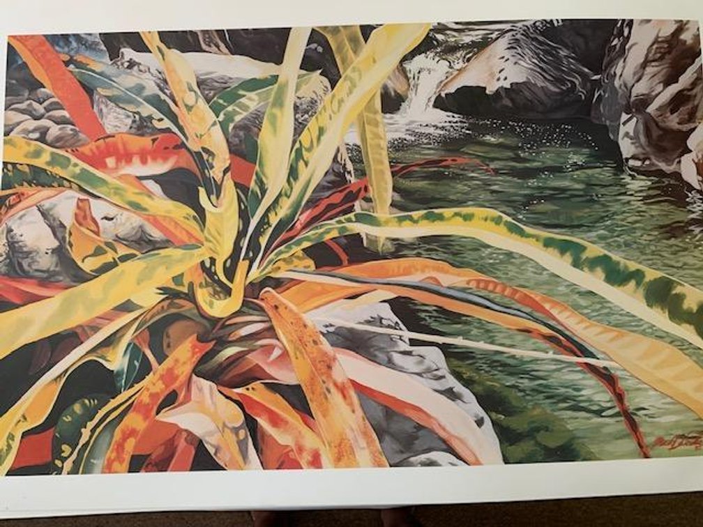 "Spider Croton" Mark Daniels Print