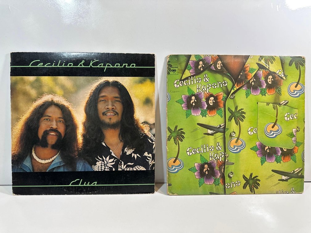 Image for 07/05 Kapaa (KAUAI) Vinyls, Tapes and CD's Music Auction