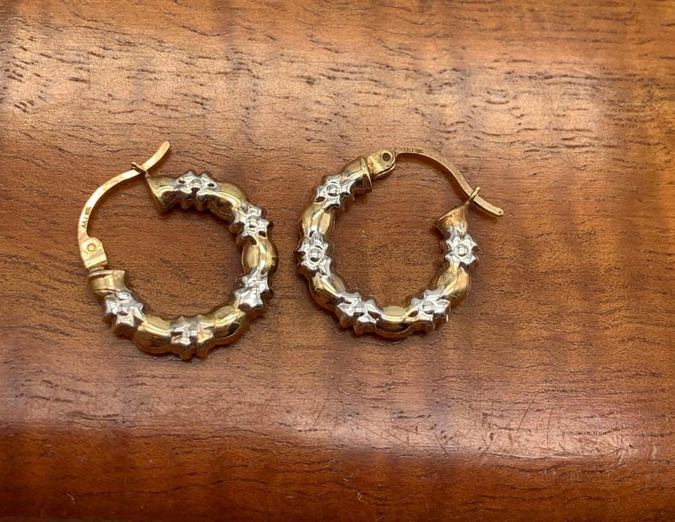 10k Multi Tone Gold Earrings AAJ