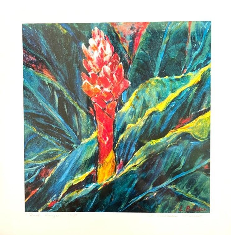Red Ginger Print