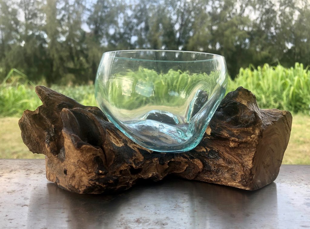  Melted Glass Bowl on Driftwood