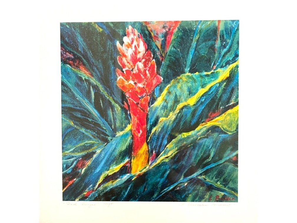 Red Ginger Print