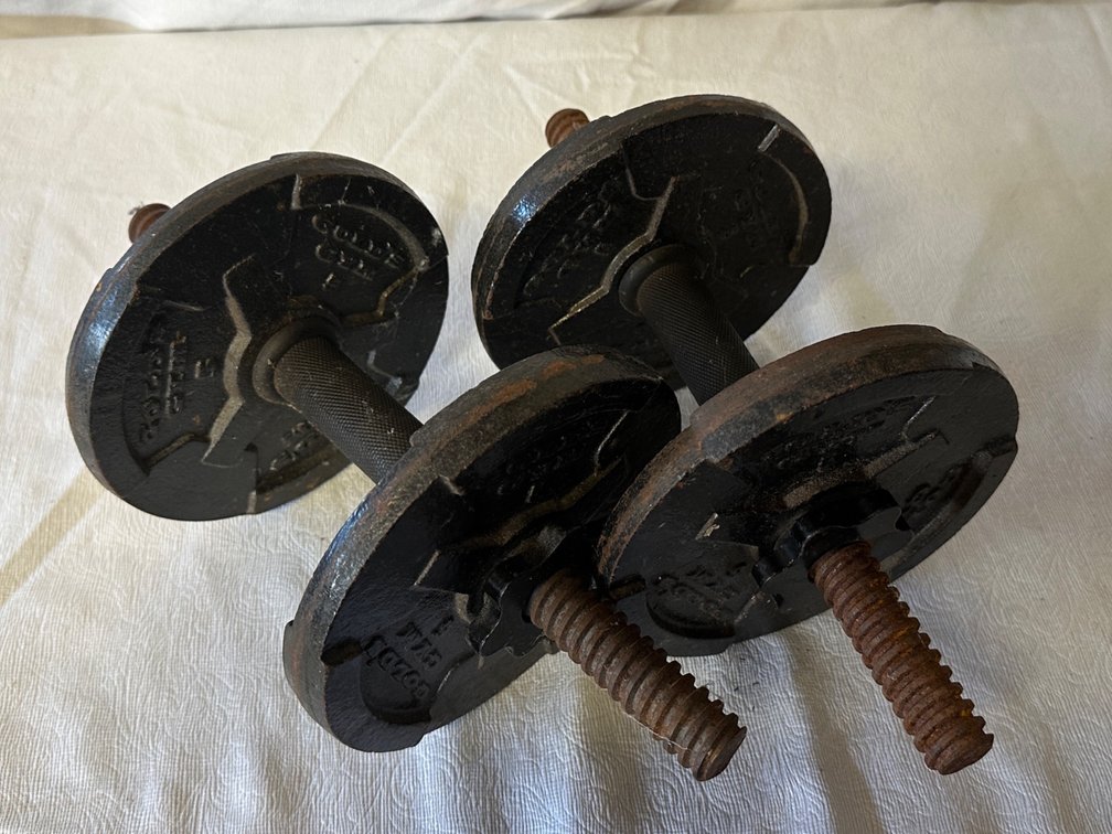 2x Gold Gym dumbbells