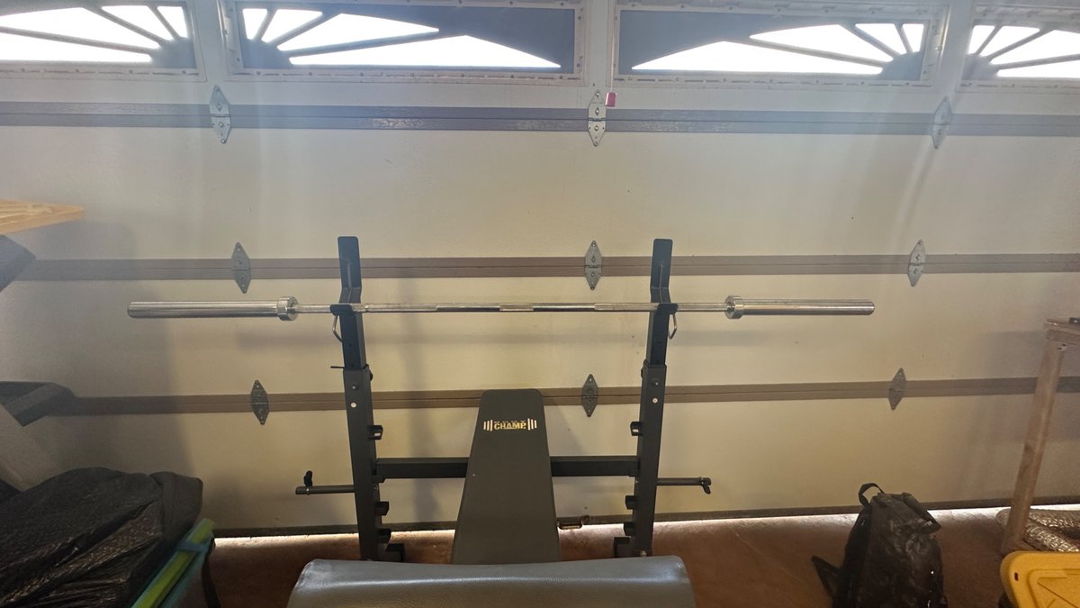 LIONSCOOL 7ft Olympic Bar