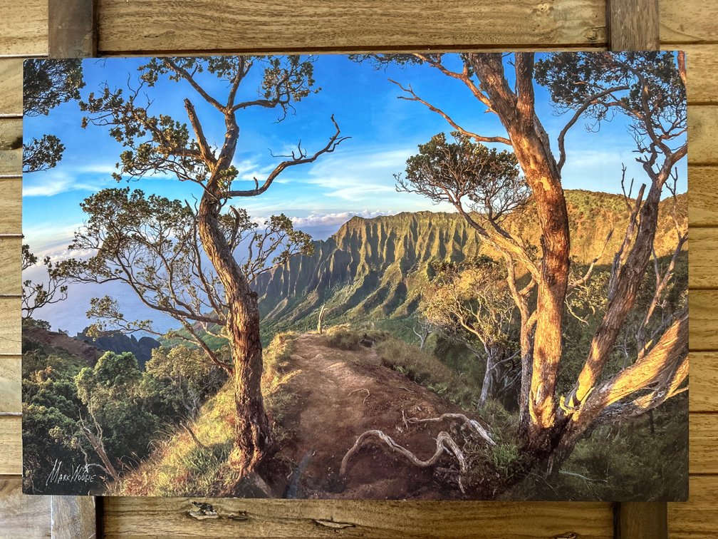 Kokee Limited Aluminum Print Mark Woogie 24” x 16”