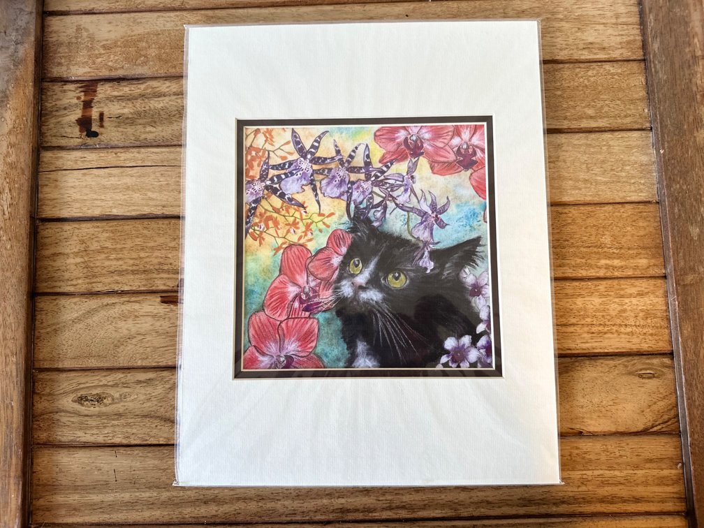 Cat Print by Joanna  Carolan