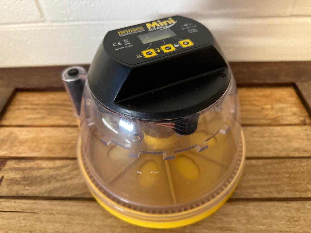 Egg Incubator - Brinsea Mini Advance