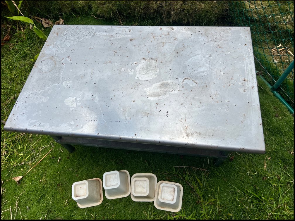 Stainless Steel Table 4ft x 2.5ft