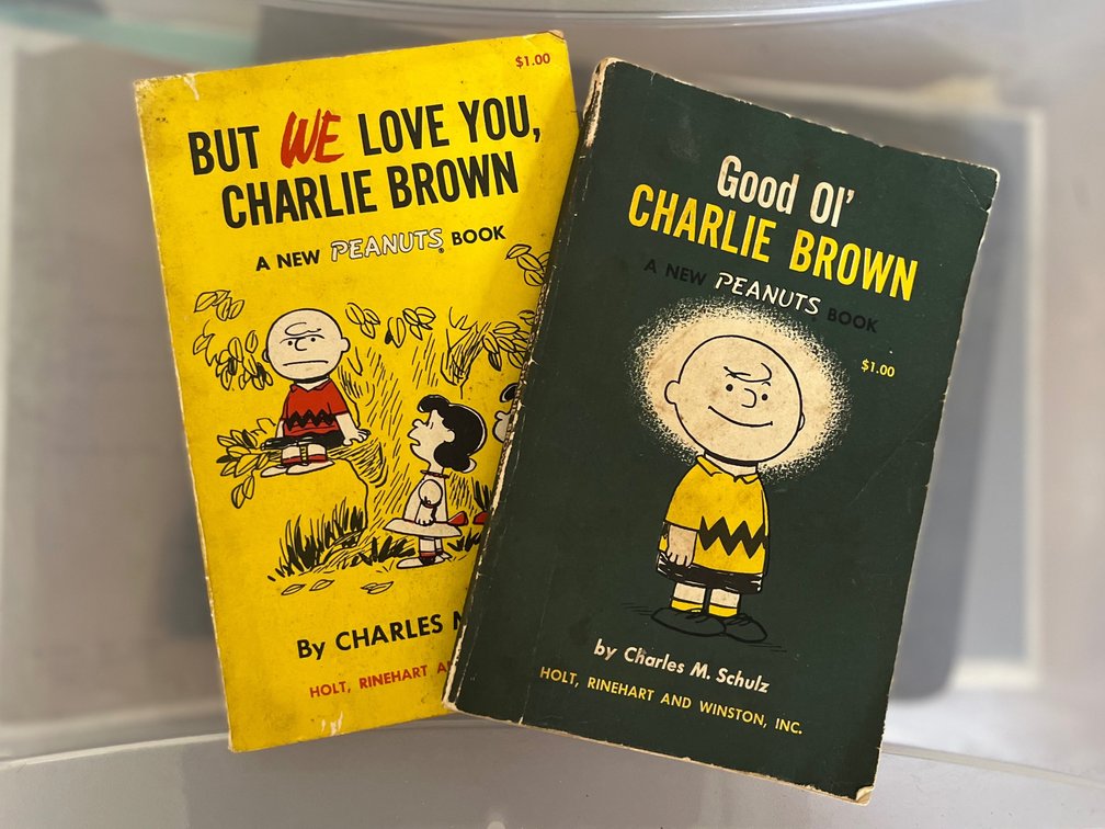 Charlie Brown Book Lot 