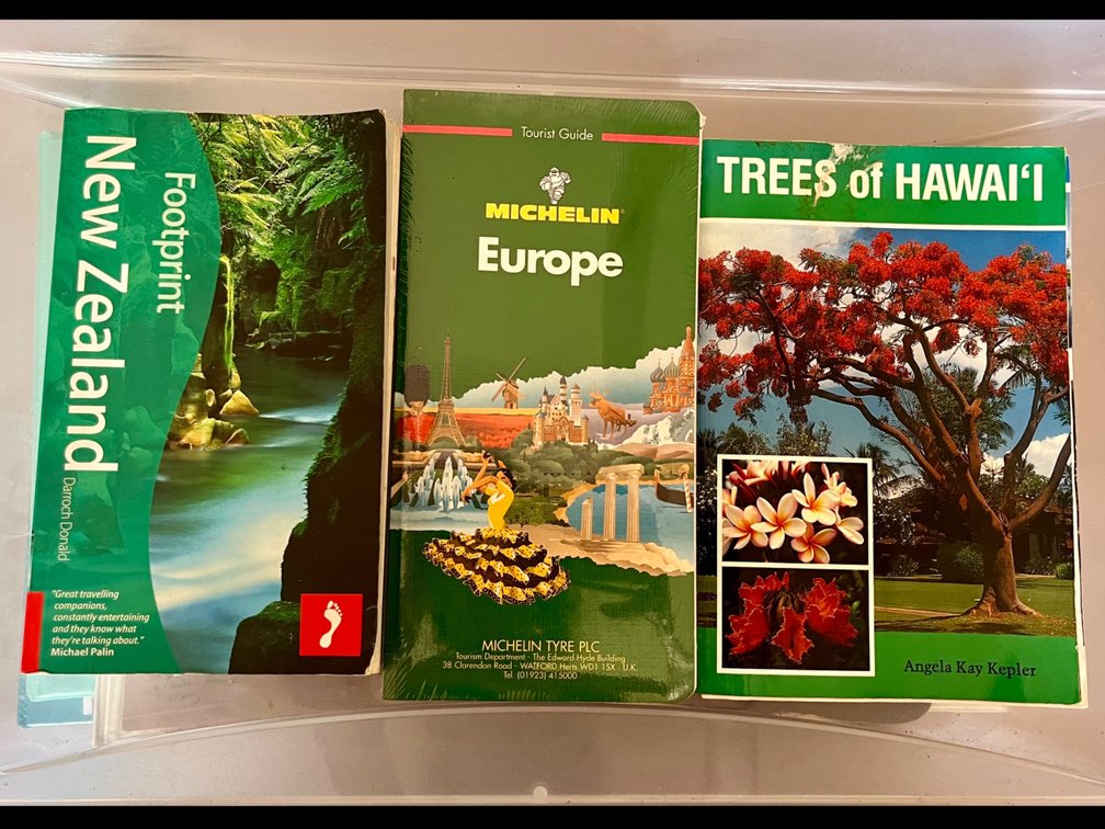Travel Book Lot 