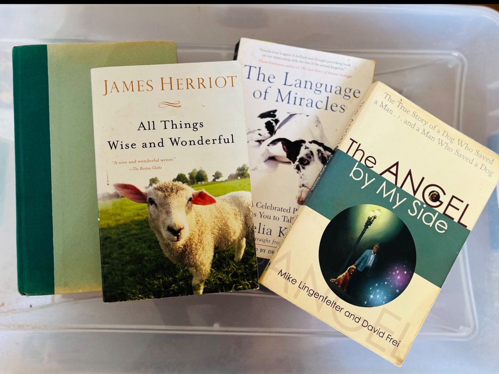 Book Lot 4