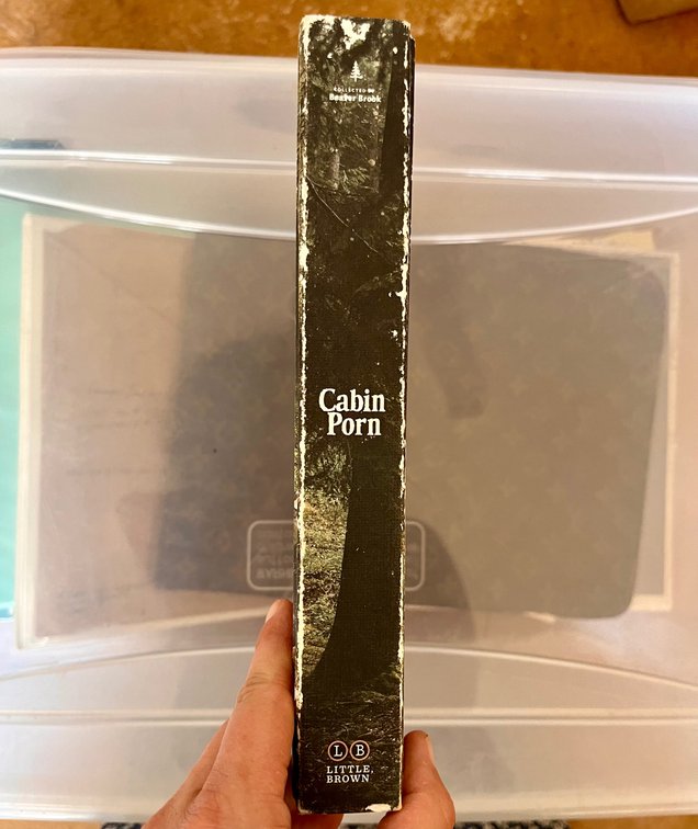 Cabin Porn Book 