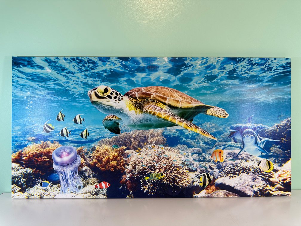 Vibrant Ocean-Themed Statement Wall Art - Ready to Hang (Approx. 39" x 20")