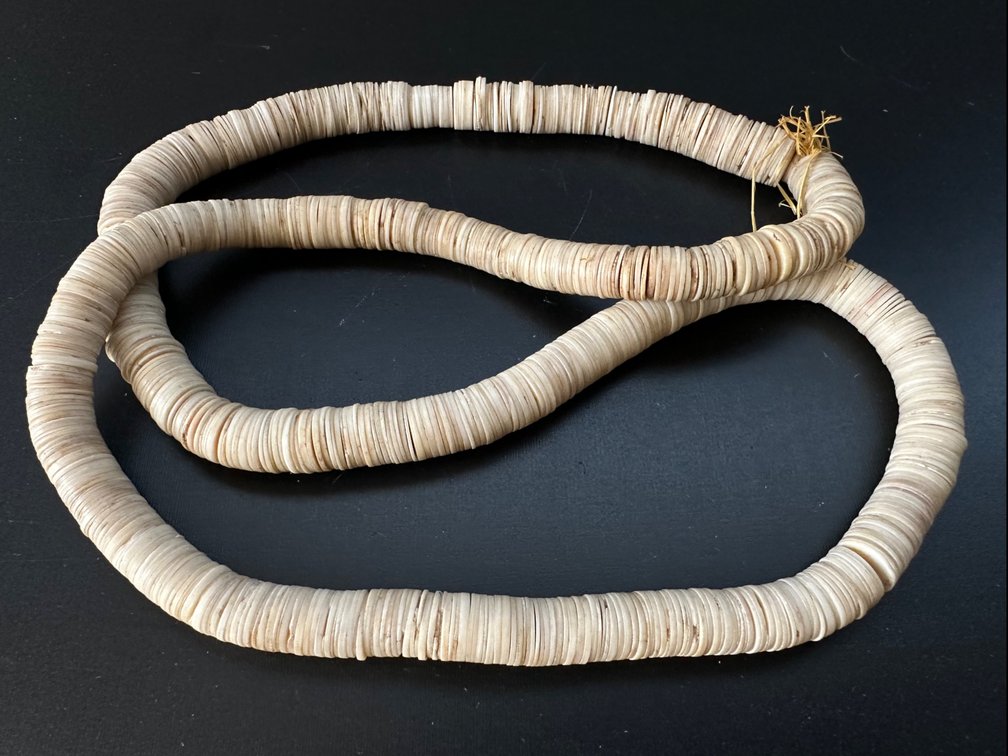 Vintage Natural Disc Shell Necklace