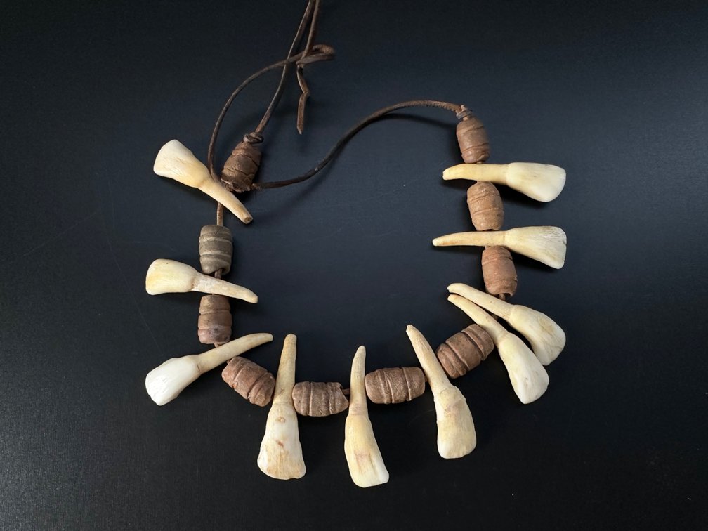 Tribal-Inspired Necklace with Animal Tooth and Wood Beads