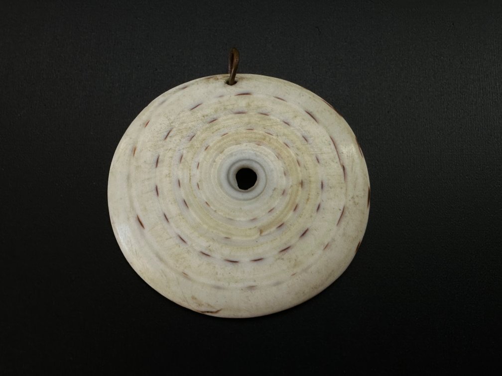 Unique Natural Material Pendant 