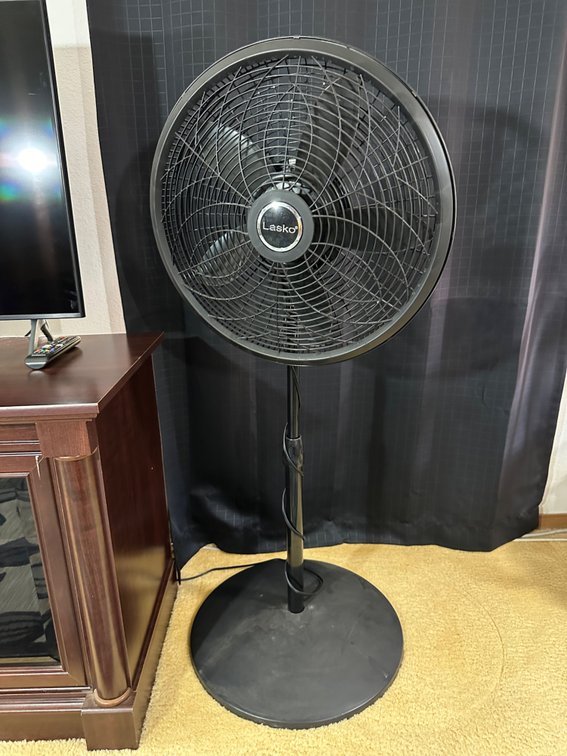 Lasko Black Stand-Up Floor Fan with Oscillation - 3 Fan Speeds