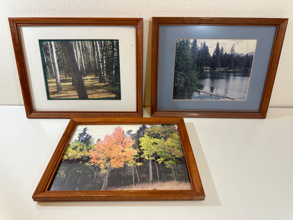 (X's 3) Set of Three Framed Nature Photographs – Stunning Scenic Views (14" x 11")