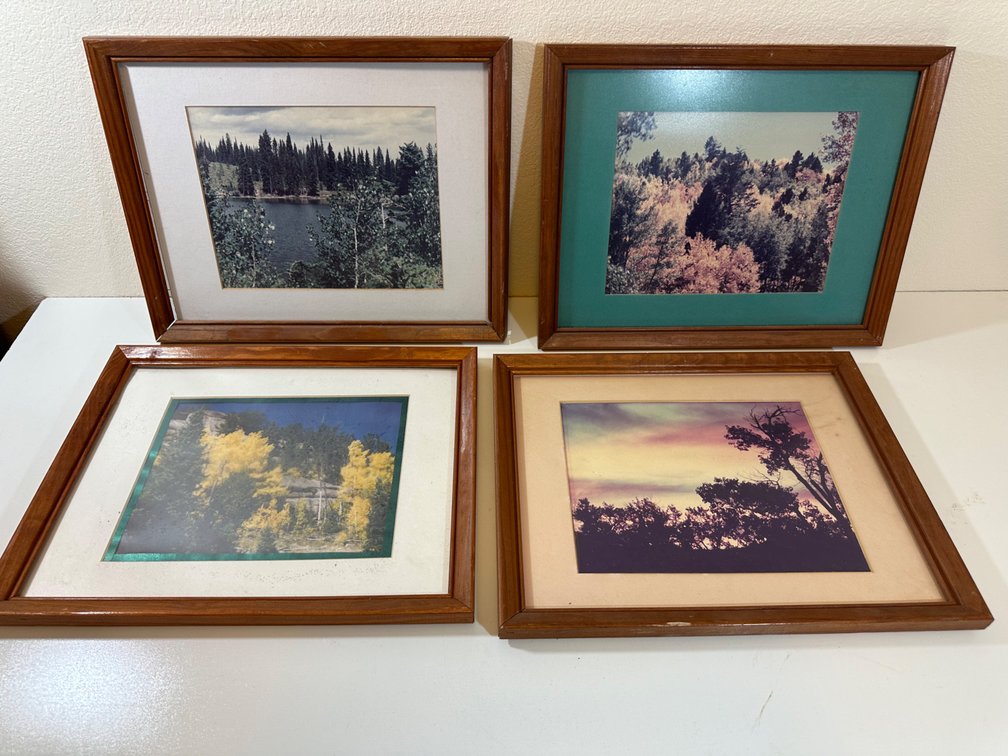 (X's 4) Set of Four Framed Nature Photographs – Captivating Scenic Landscapes (Approx. 15" x 12")