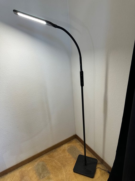 Modern Lastar Floor Lamp with Sleek Design - Adjustable Lighting