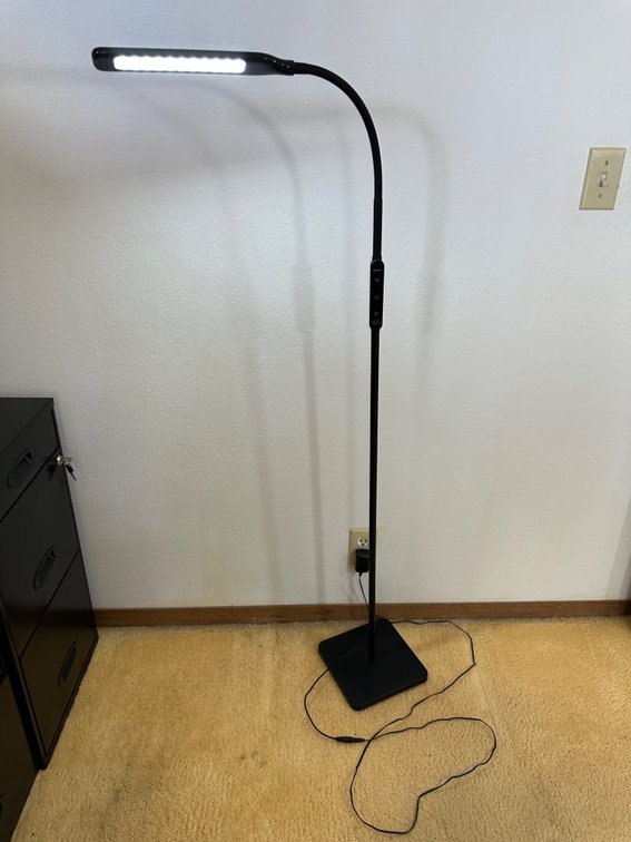 Lastar Adjustable LED Floor Lamp – Modern, Sleek Design