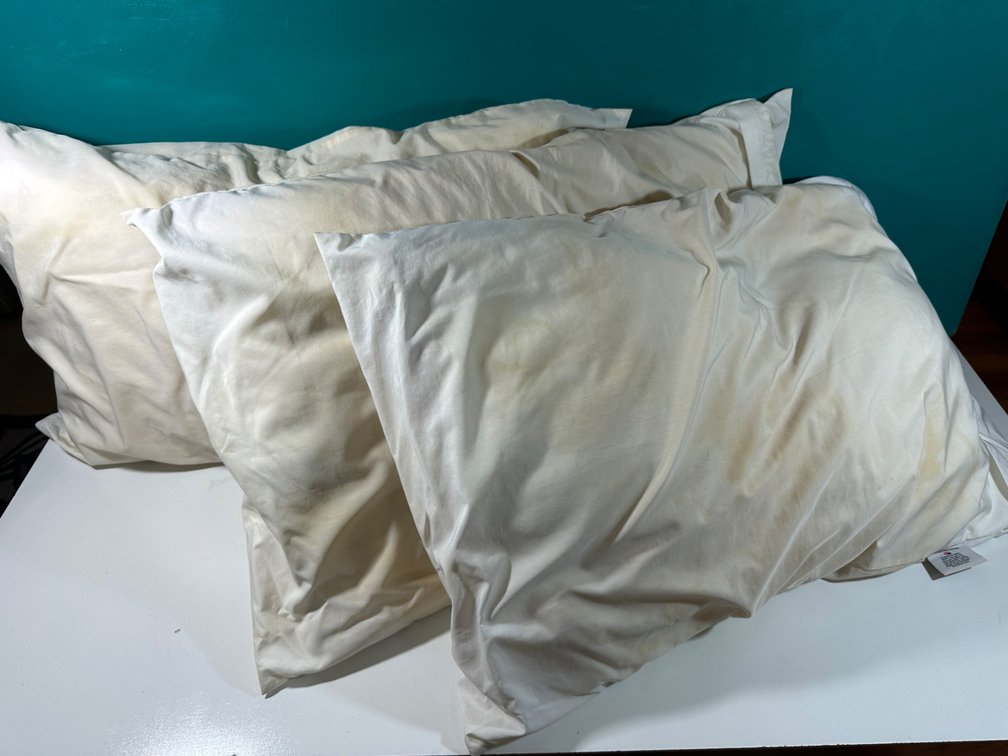 (X's 3) Set of 3 Mission Allergy Pillows