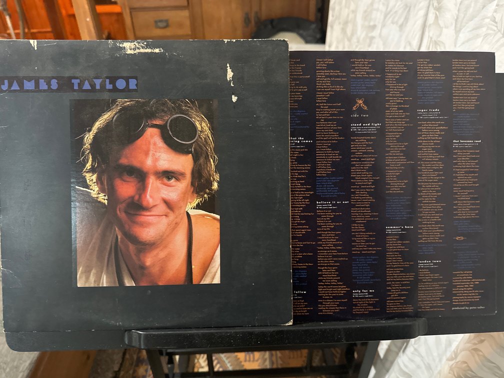 James Taylor dad loves his work album