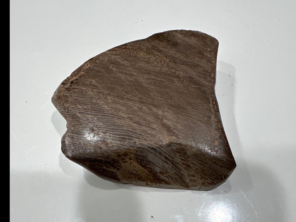 Petrified wood- polished