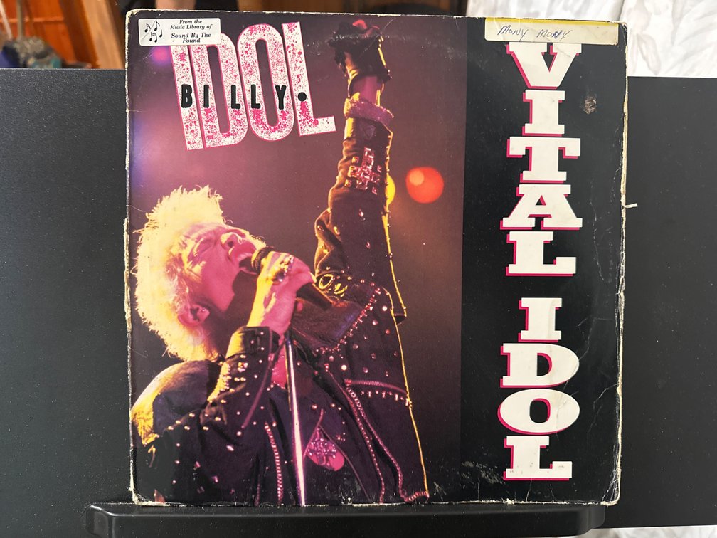 Billy Idol Vital Idol album