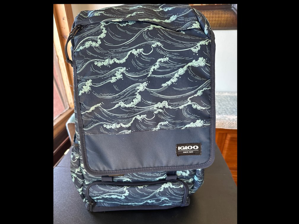 South sided igloo backpack cooler with several compartments
