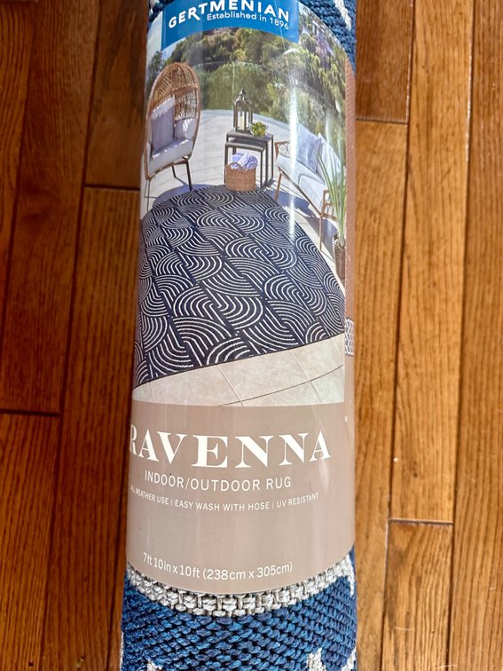 Ravenna indoor outdoor rug, new