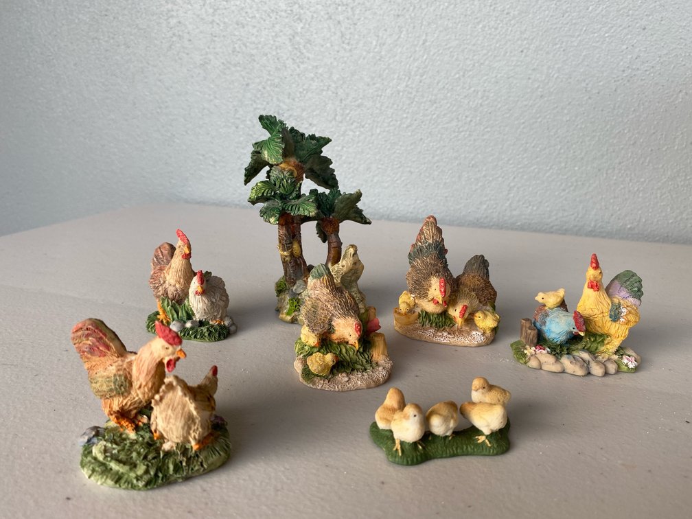 Miniature Chicken Display