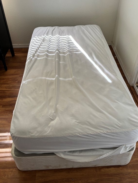 Twin Mattress and Box Spring Set 
