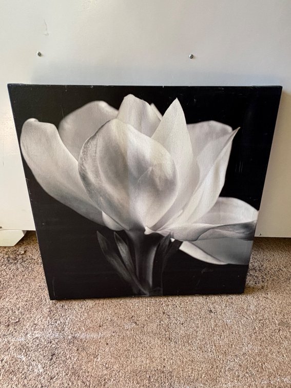 Flower Art on Canvas