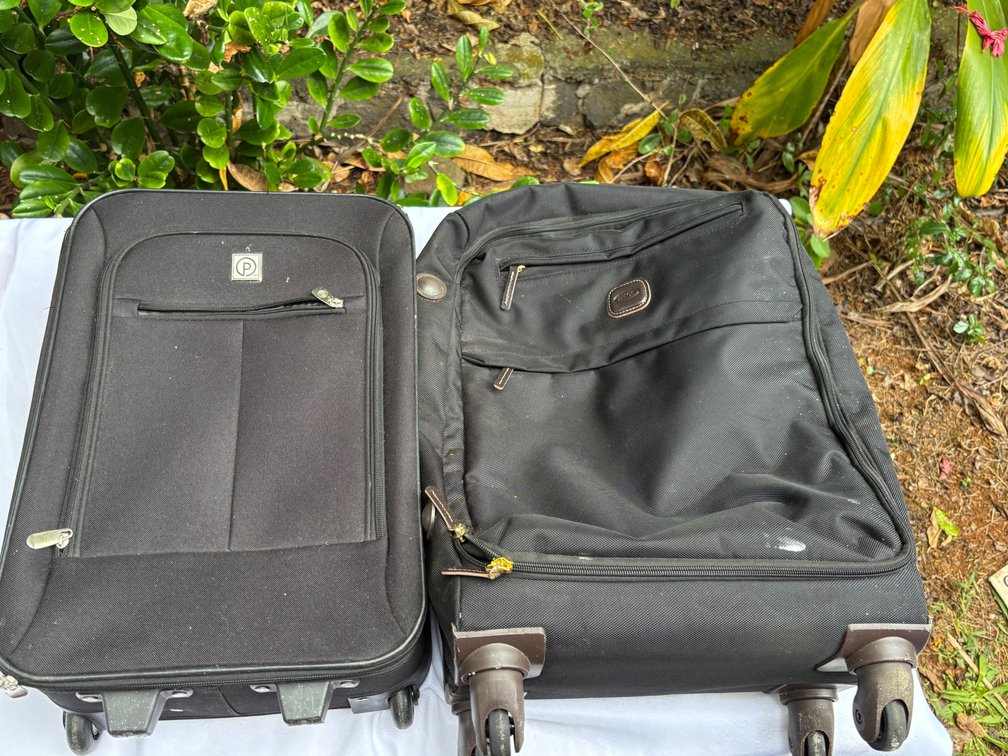 2 Black Rolling Suitcases 