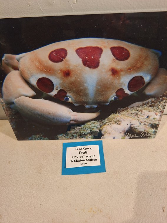 Acrylic Photo Print by Local Artist