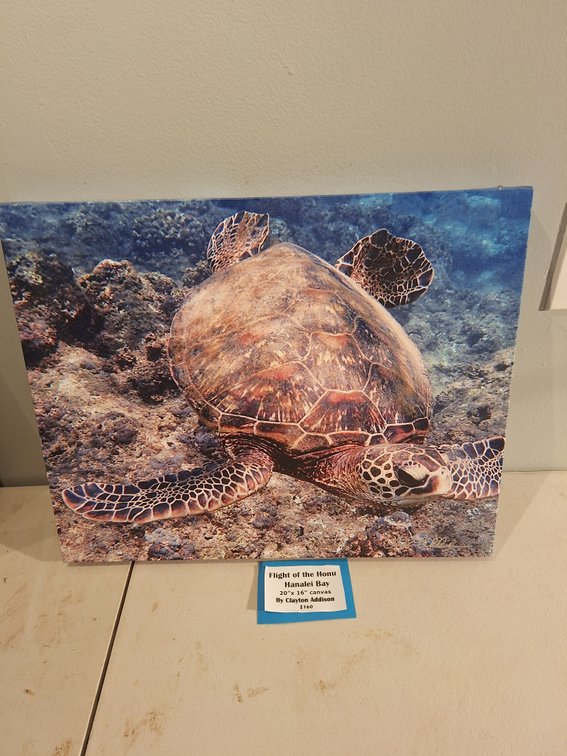 Canvas Photo Print by Local Artist