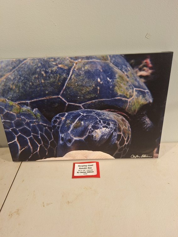 Canvas Photo Print by Local Artist